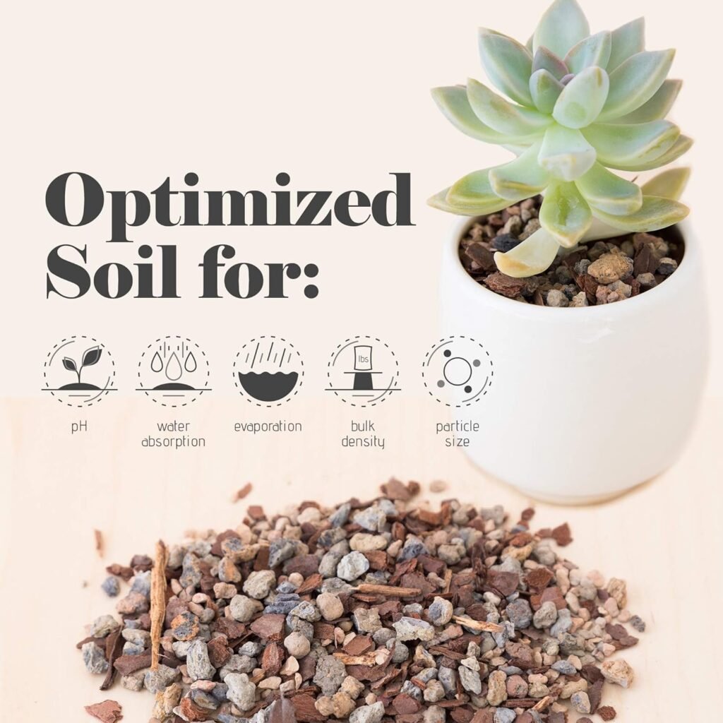 Bonsai Succulent and Cactus Soil - Jacks Gritty Mix #111 - Fast Draining – Fights Root Rot – Optimized pH (1/2 Gallon / 2 Dry Quarts)