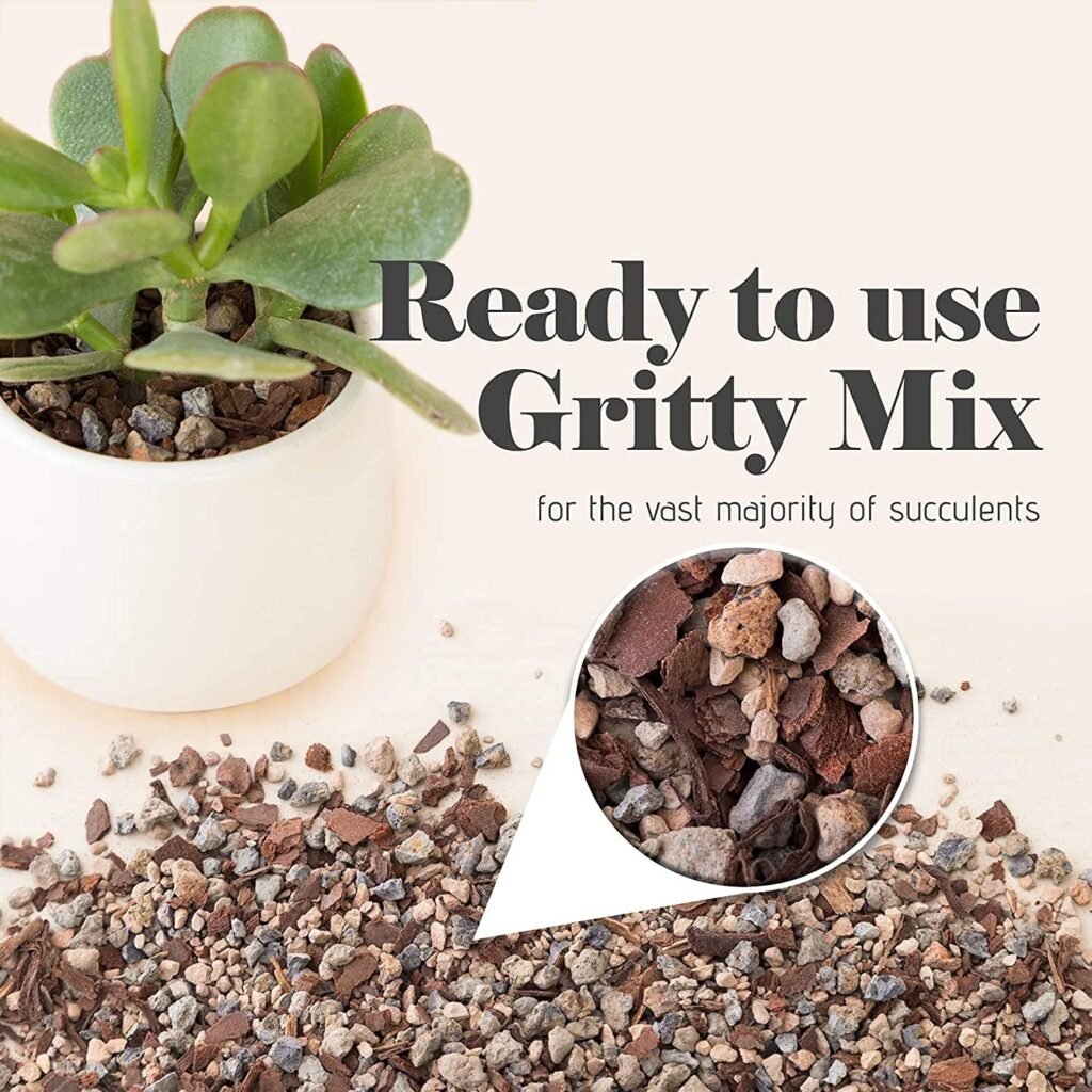 Bonsai Succulent and Cactus Soil - Jacks Gritty Mix #111 - Fast Draining – Fights Root Rot – Optimized pH (1/2 Gallon / 2 Dry Quarts)