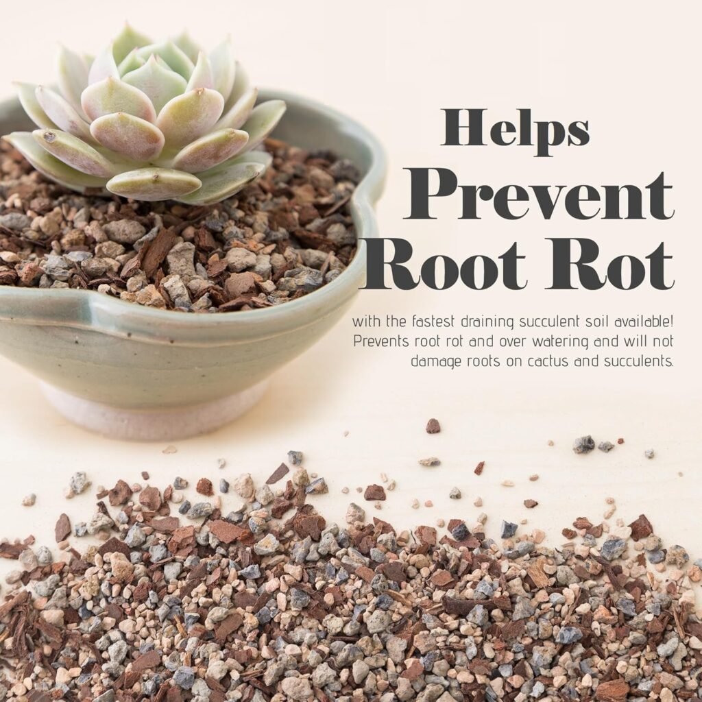 Bonsai Succulent and Cactus Soil - Jacks Gritty Mix #111 - Fast Draining – Fights Root Rot – Optimized pH (1/2 Gallon / 2 Dry Quarts)