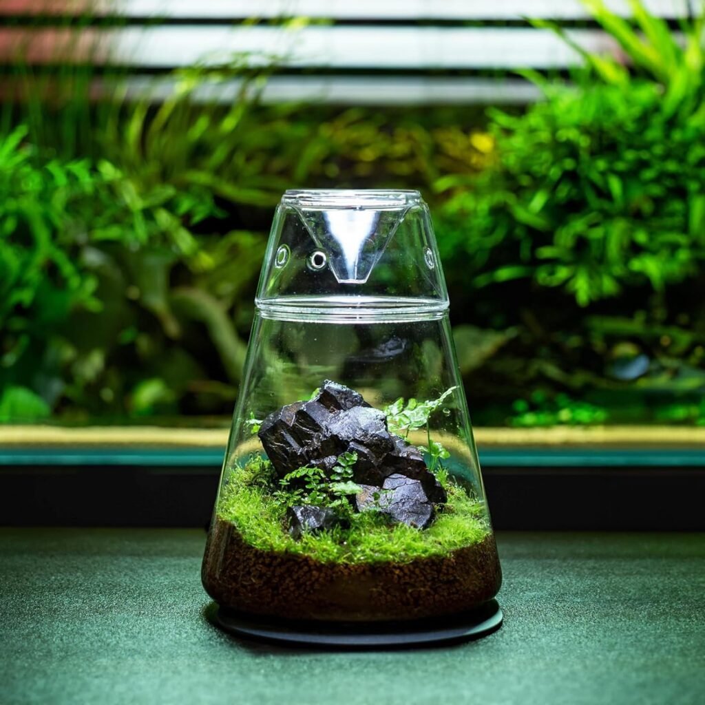 Glass Plant Terrarium with Lid 6.3X7.9 Inches Succulent Air Planter Fern Moss Micro-Landscape Vase for Home Office Tabletop Decoration Container Indoor Wardian Copyright Patent