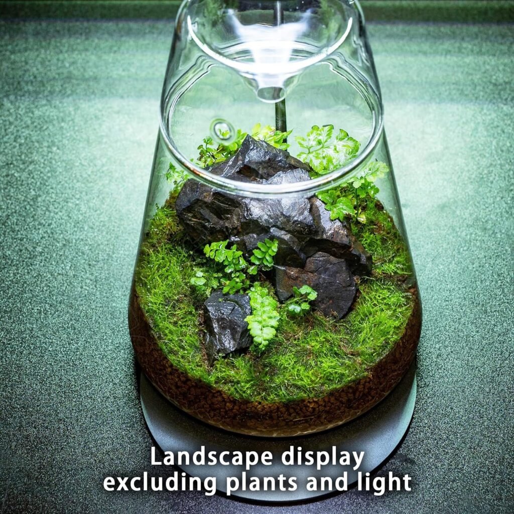 Glass Plant Terrarium with Lid 6.3X7.9 Inches Succulent Air Planter Fern Moss Micro-Landscape Vase for Home Office Tabletop Decoration Container Indoor Wardian Copyright Patent