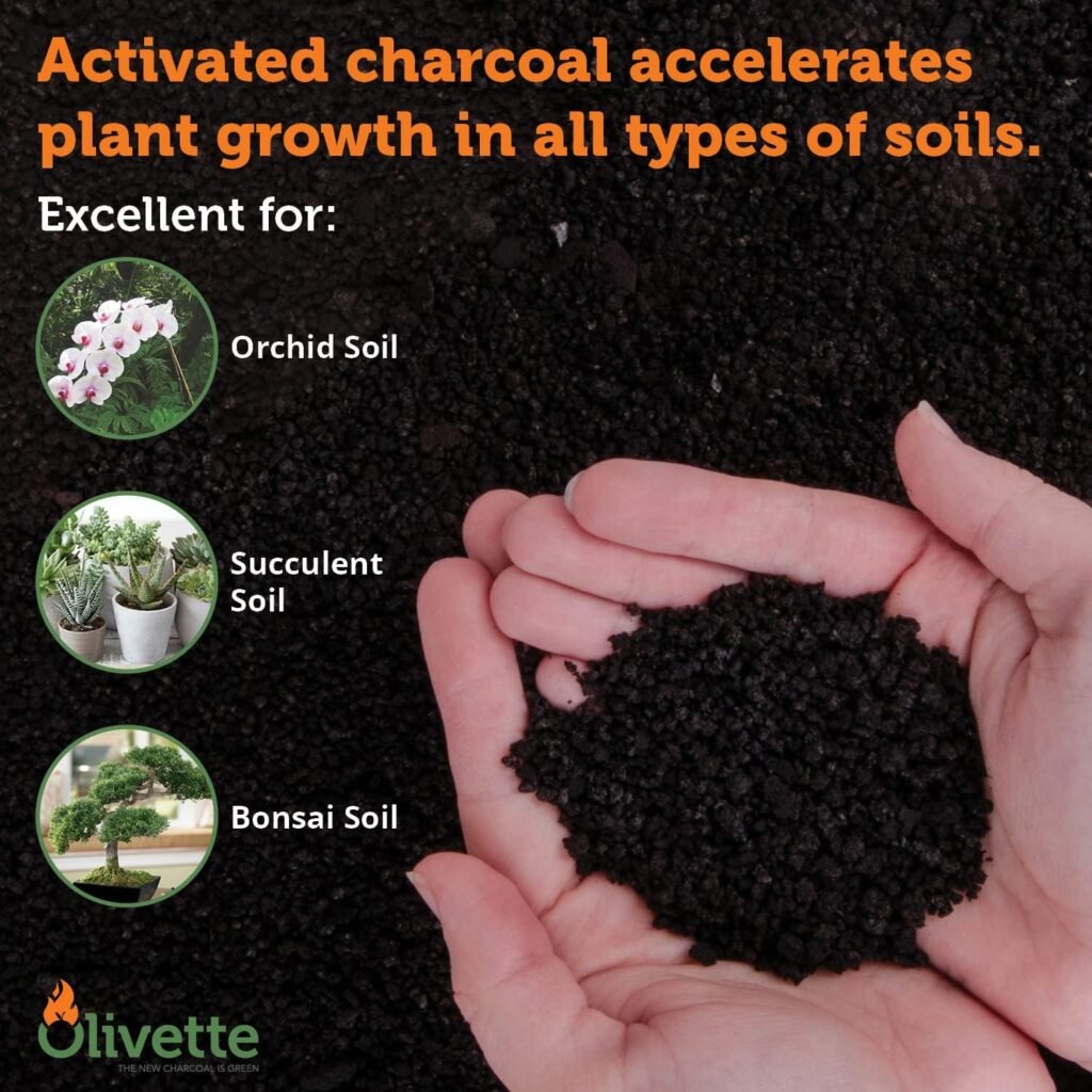Activated Charcoal in a Terrarium